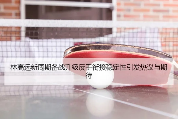 林高远新周期备战升级反手衔接稳定性引发热议与期待