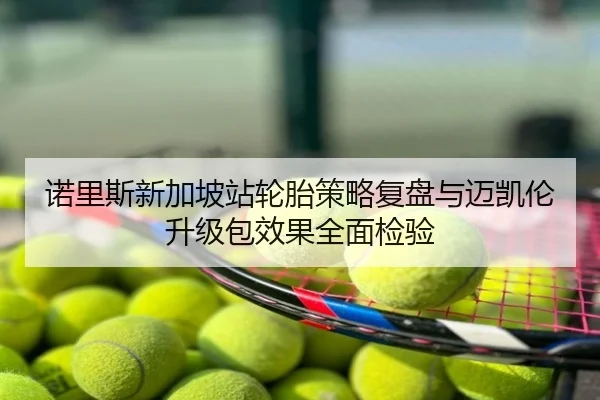 诺里斯新加坡站轮胎策略复盘与迈凯伦升级包效果全面检验